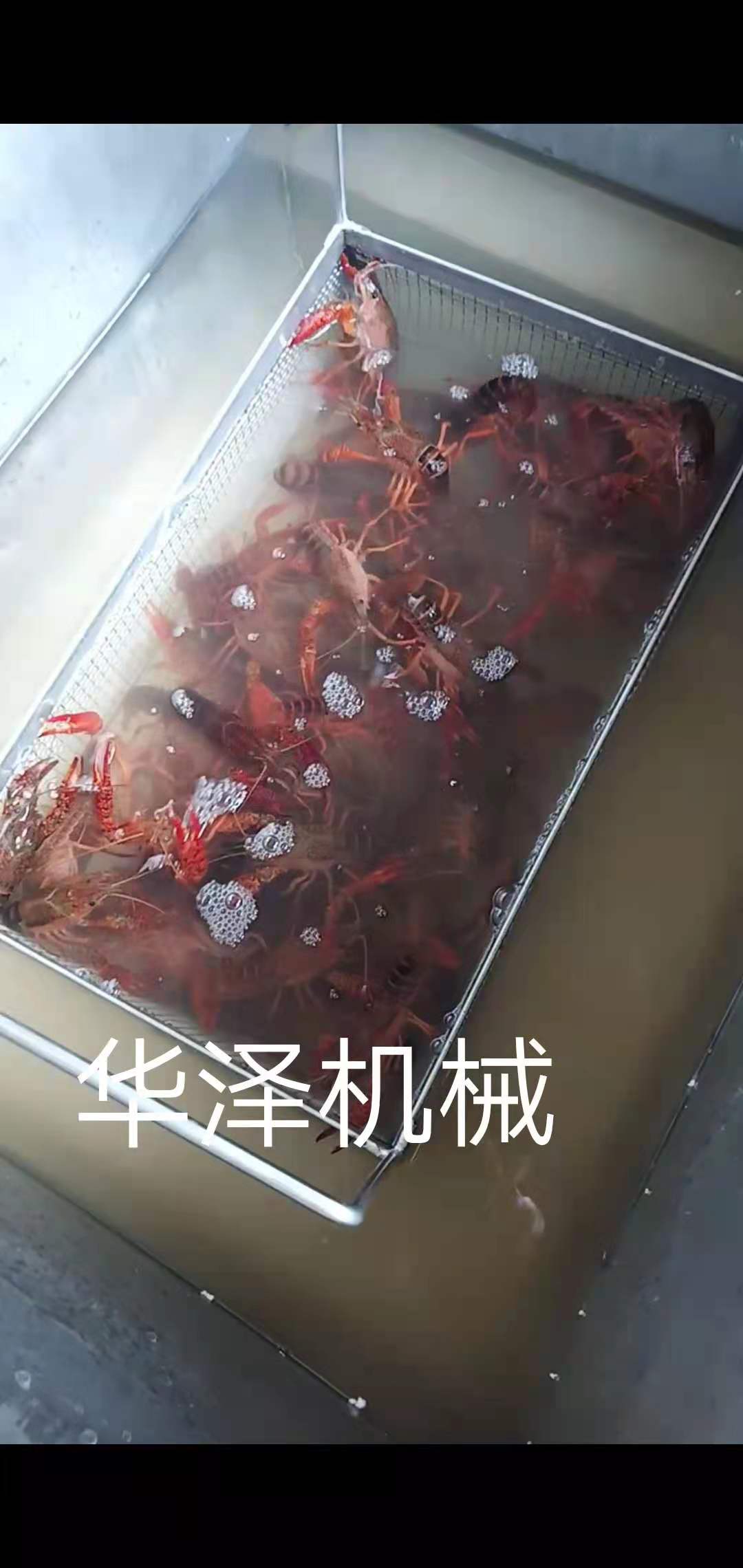 小龍蝦超聲波清洗